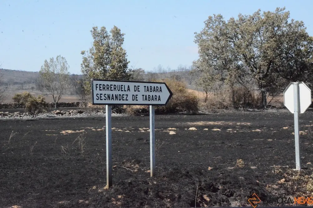 Fuego losacio dia 19 (132)
