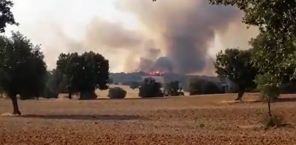 Incendio