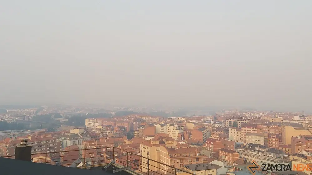 zamora3