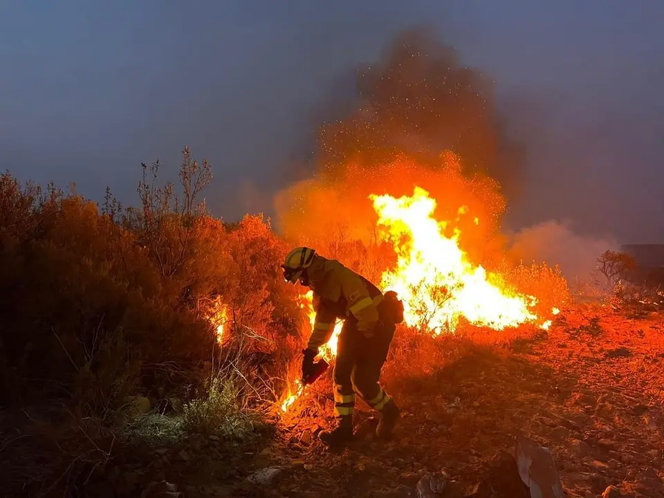 Un bombero forestal se afana  en sofocar el fuego en Losacio. Imagen de archivo/ infocyl