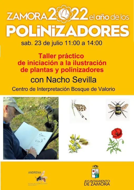 Taller Nacho Sevilla
