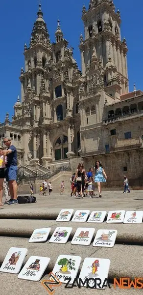 Las "comarcas" de Zamora ante la Catedral de Santiago