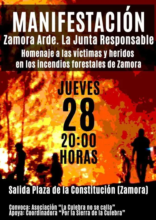 Manifestación Zamora