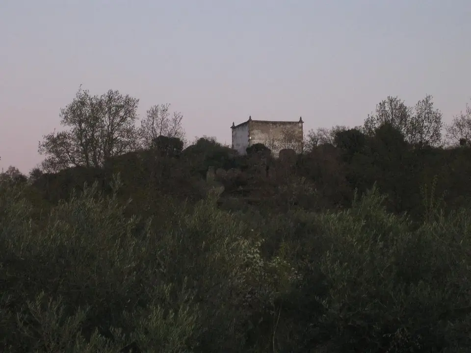 Palomera en Fermoselle. Fotografía: Ayuntamiento de Fermoselle
