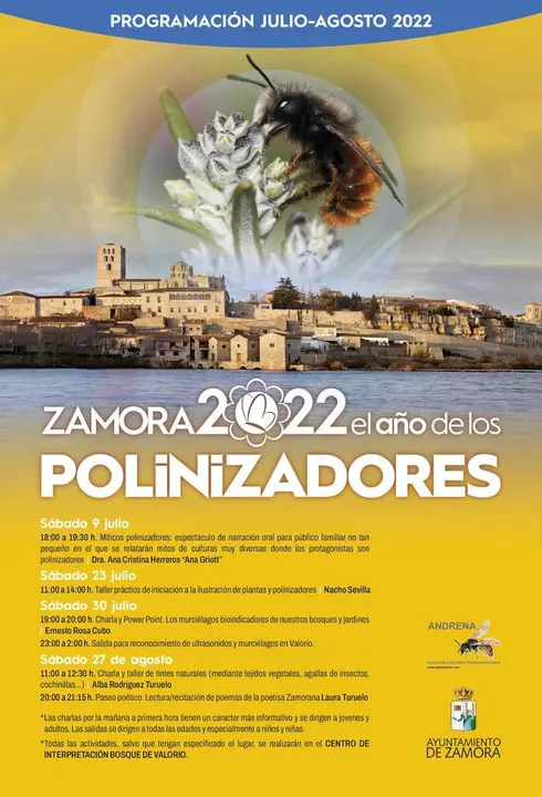 Polinizadores