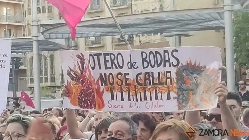 Concentración Zamora (1)