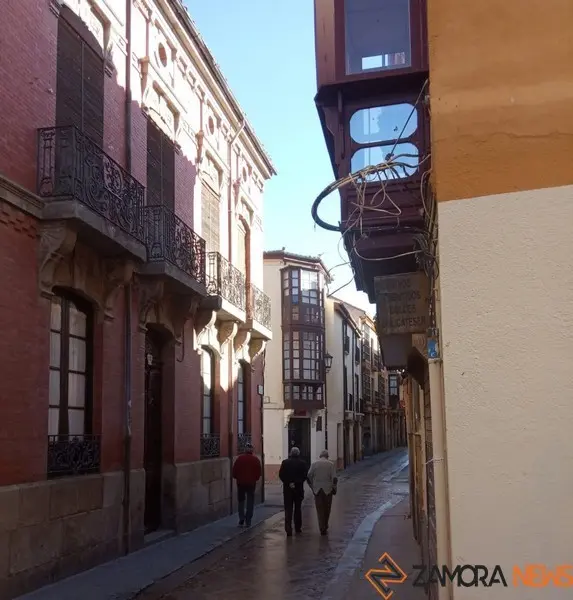 Viandantes por Zamora