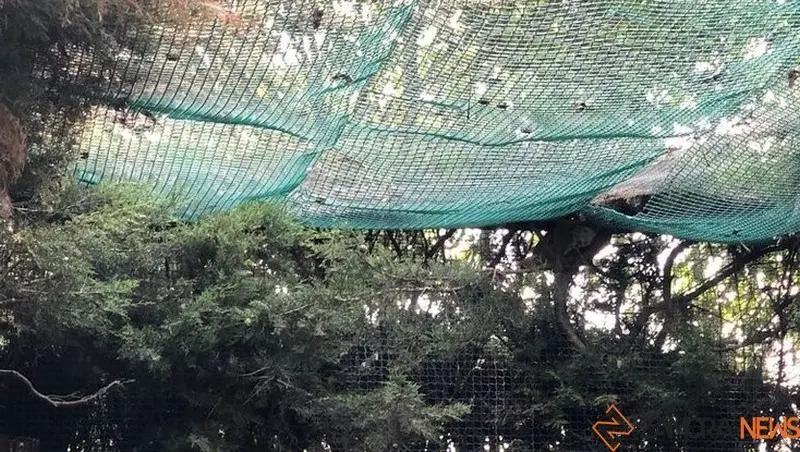 Centro de Recepción de Animales Silvestres en Villaralbo. Foto Marcos Vicente