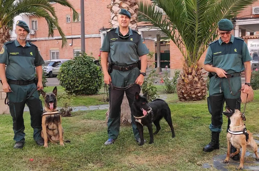 perros guardia civil