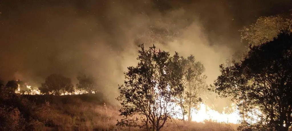 Imagen de archivo del incendio en el término municipal de Granja de Moreruela. Fotografía: FC
