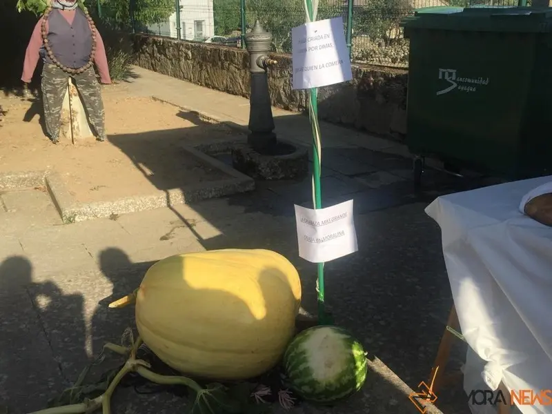 45moralinamercado