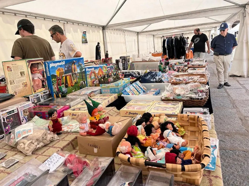 2ª Feria del Coleccionismo en Toro (8)