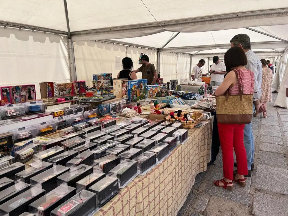 2ª Feria del Coleccionismo en Toro (9)