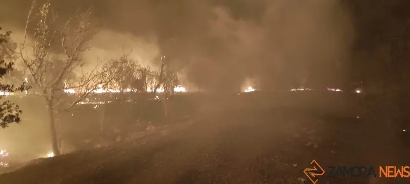 Incendio declarado esta mañana en el entorno de Puente Quintos. Foto F.C.