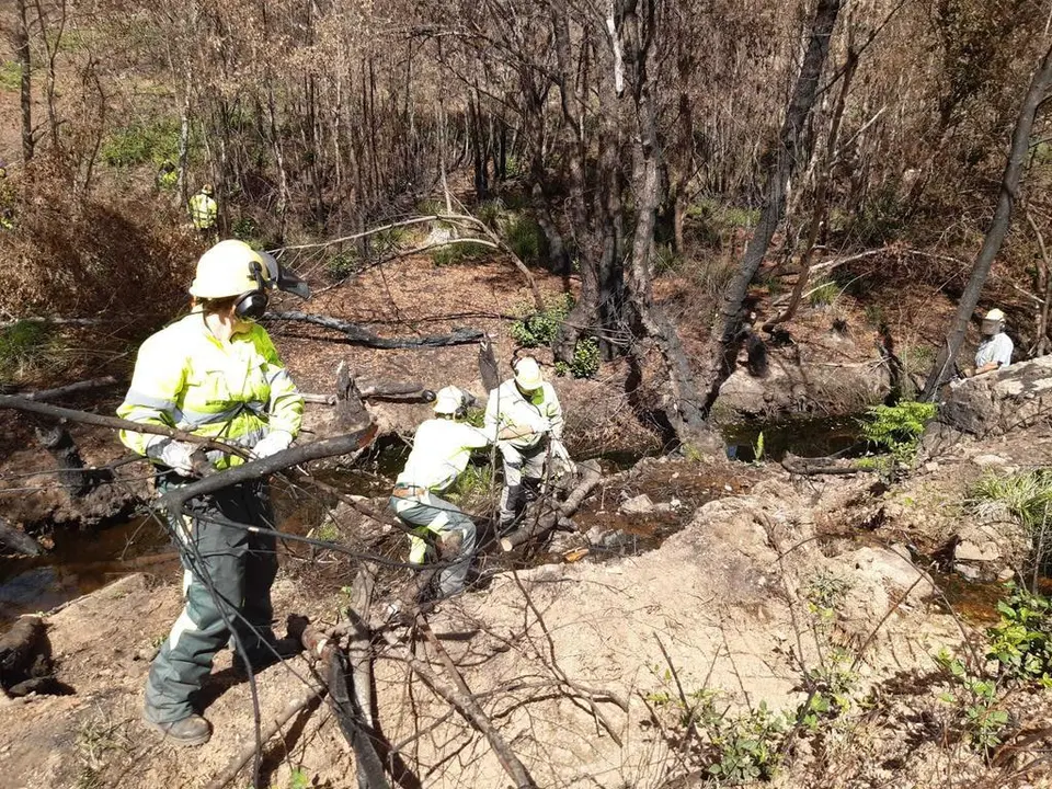 Trabajos en la Sierra de la Culebra
