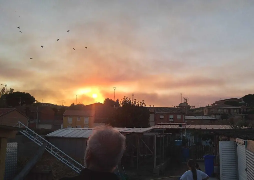 La bandada de pájaros de Martins Armenio (11)