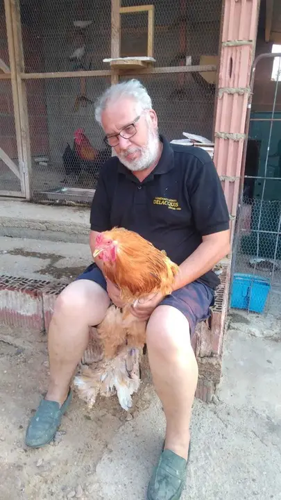 La bandada de pájaros de Martins Armenio (17)