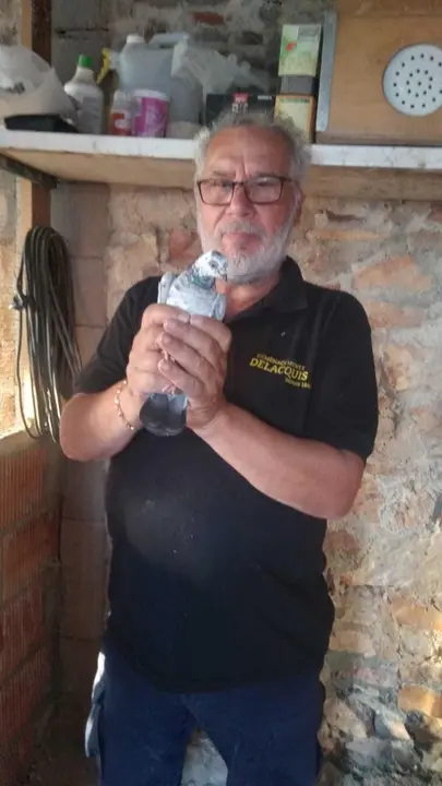 La bandada de pájaros de Martins Armenio (22)