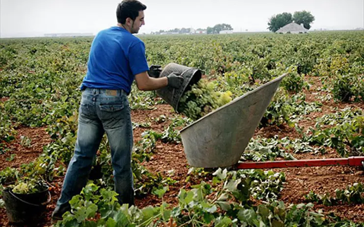 Agricultura