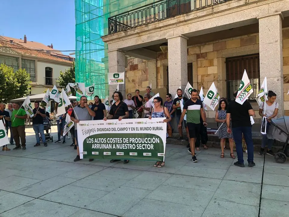 Manifestación uccl