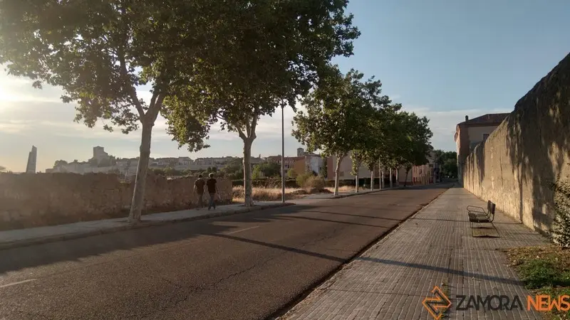 Dos viandantes por Zamora