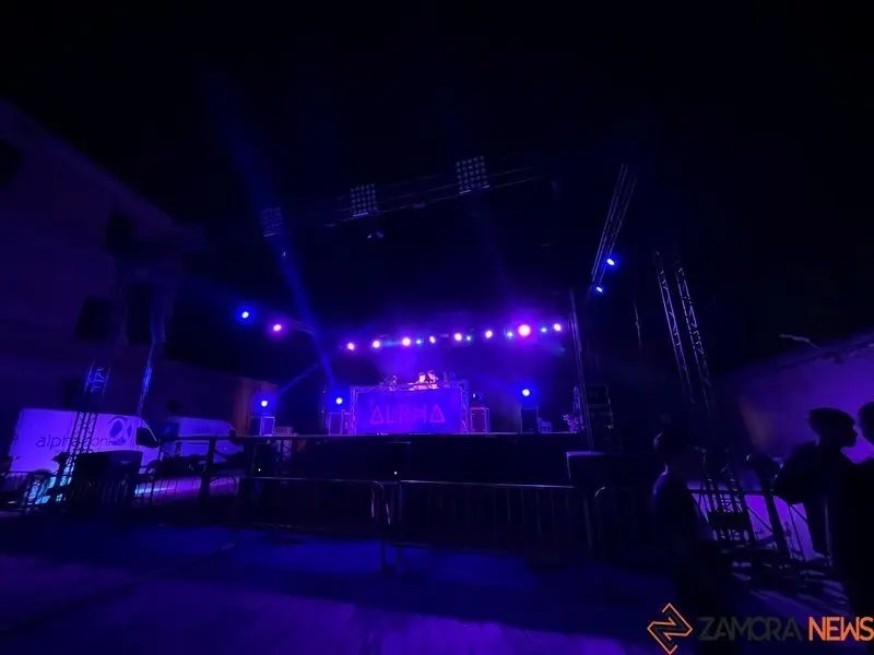 Toro fiestas (2)
