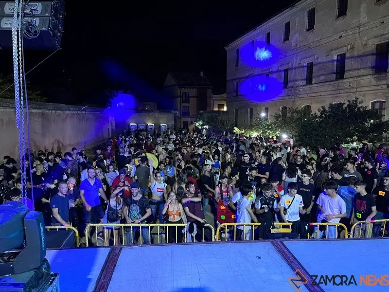 Toro fiestas (3)