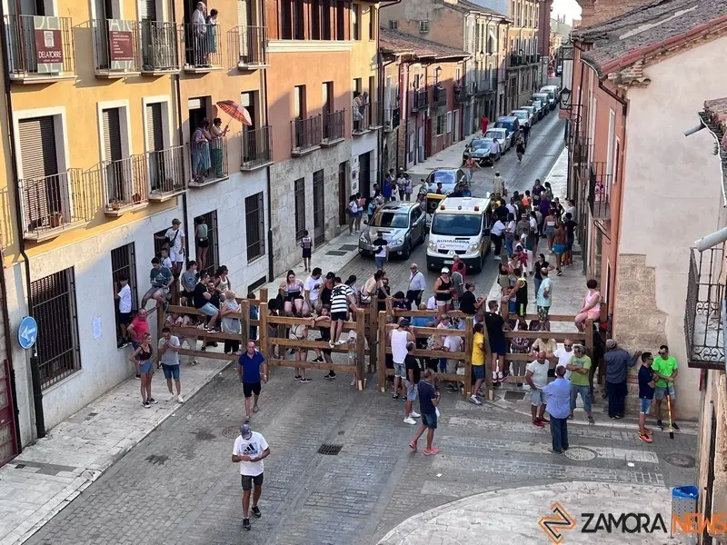 Toro fiestas (7)