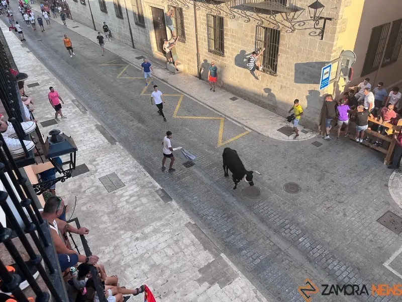 Toro fiestas (11)