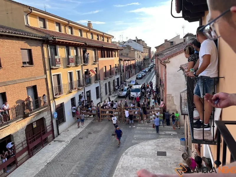 Toro fiestas (12)