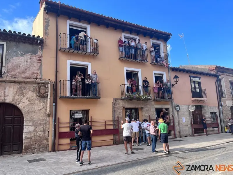Toro fiestas (13)