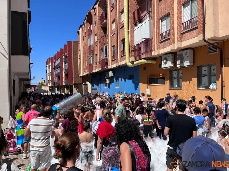 Toro fiestas (14)