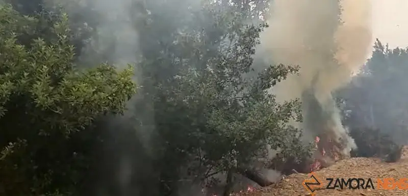 Imagen de archivo incendio