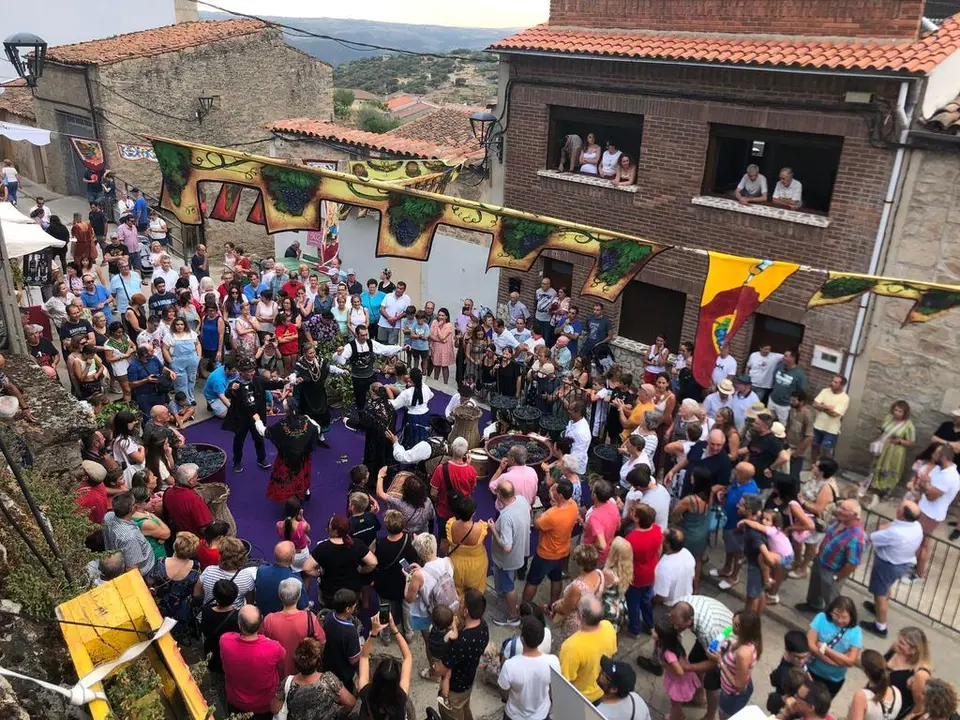 Vendimia Fermoselle (3)