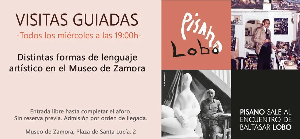 visita