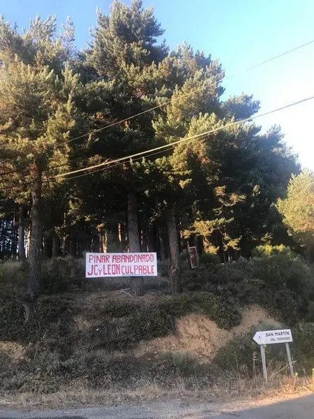 Pinar de El Terroso