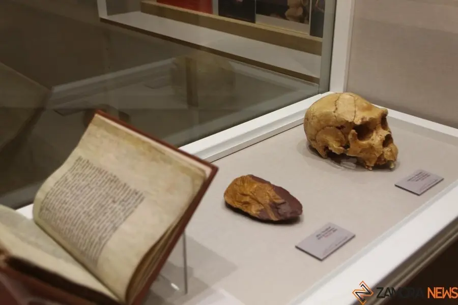 1exposición