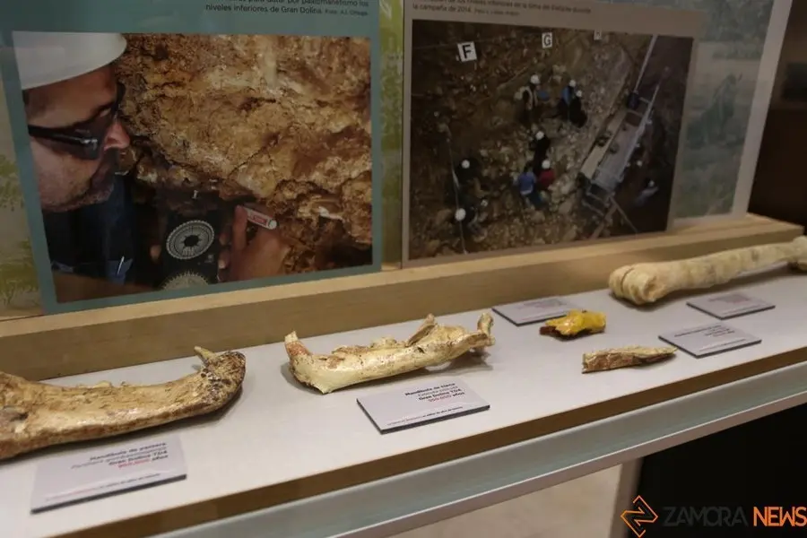6exposición