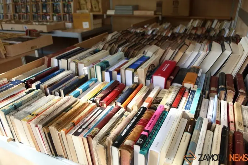 Feria del Libro y de Ocasión (3)