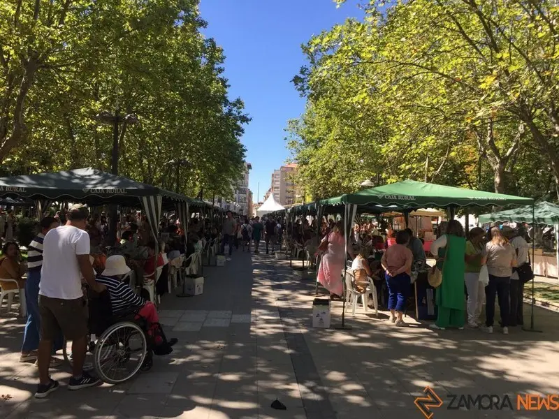 Encajeras Zamora (4)
