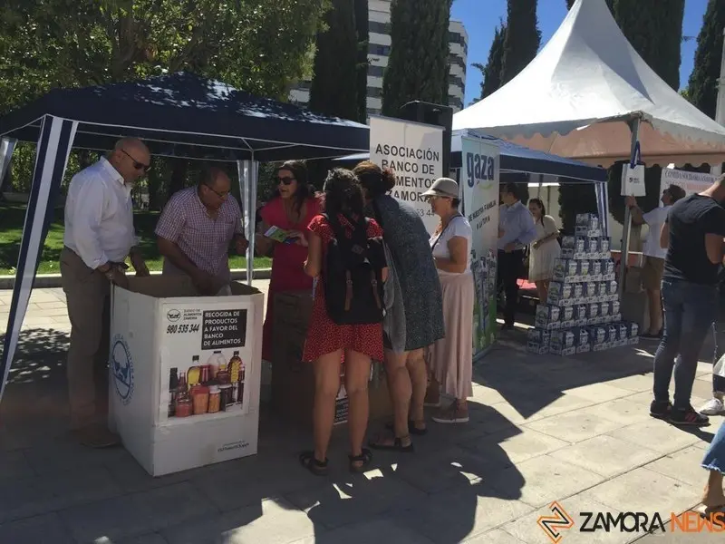 Comida solidaria (1)