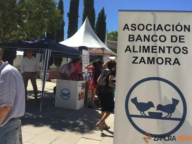 Comida solidaria (2)