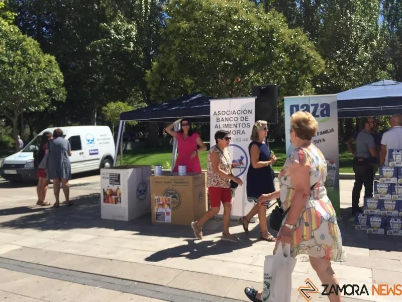 Comida solidaria (4)