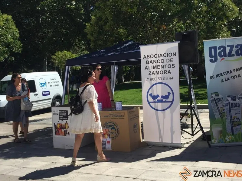 Comida solidaria (5)