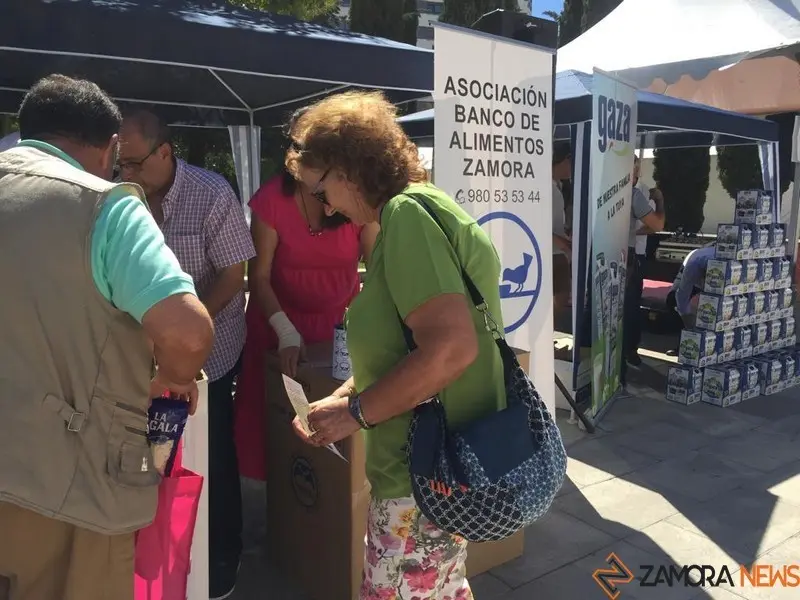 Comida solidaria (10)