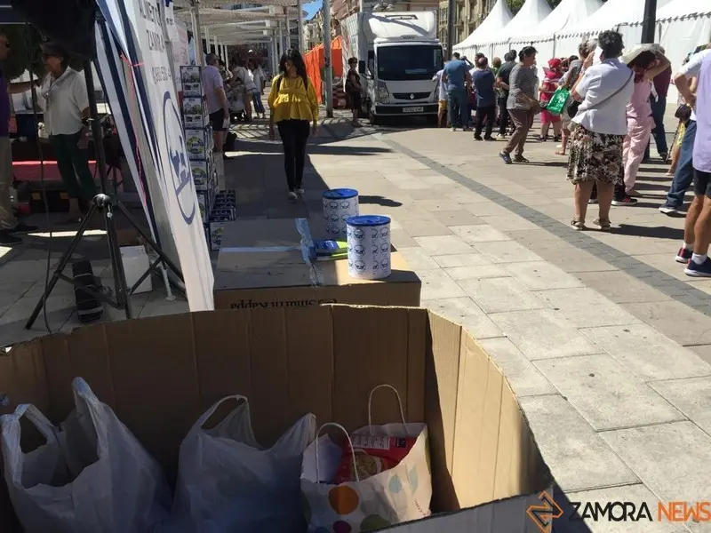 Comida solidaria (20)