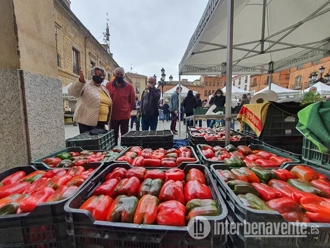 Última Feria del Pimiento. Fotografía: Interbenavente