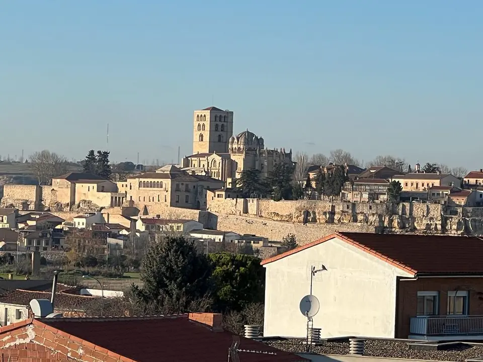 zamora vista lateral
