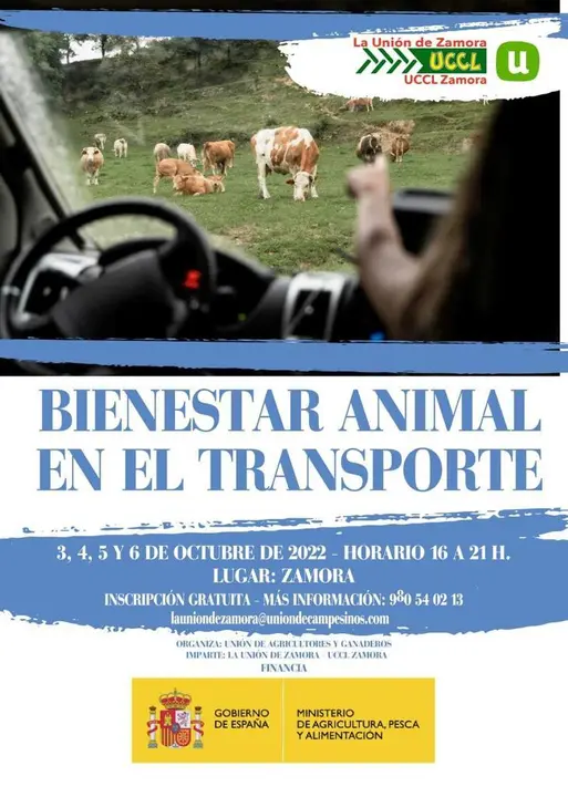 CARTEL BIENESTAR
