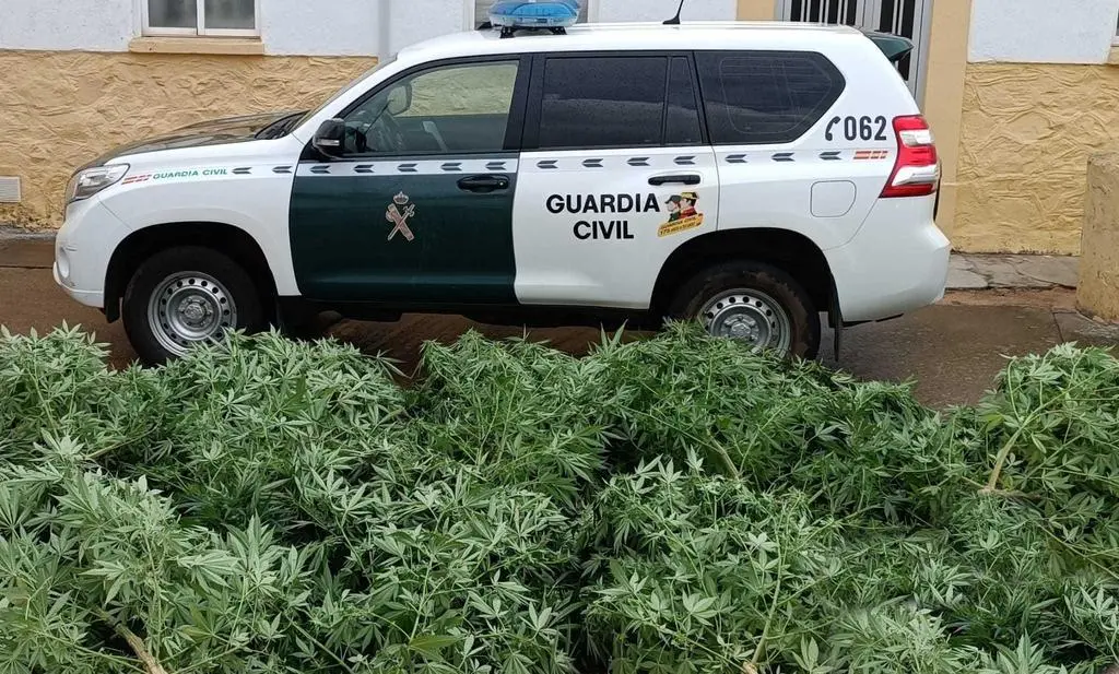 guarcia civil